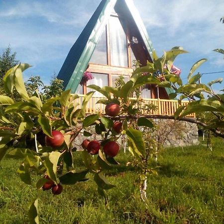 Banjska Brvnara Villa Vrnjačka Banja Kültér fotó