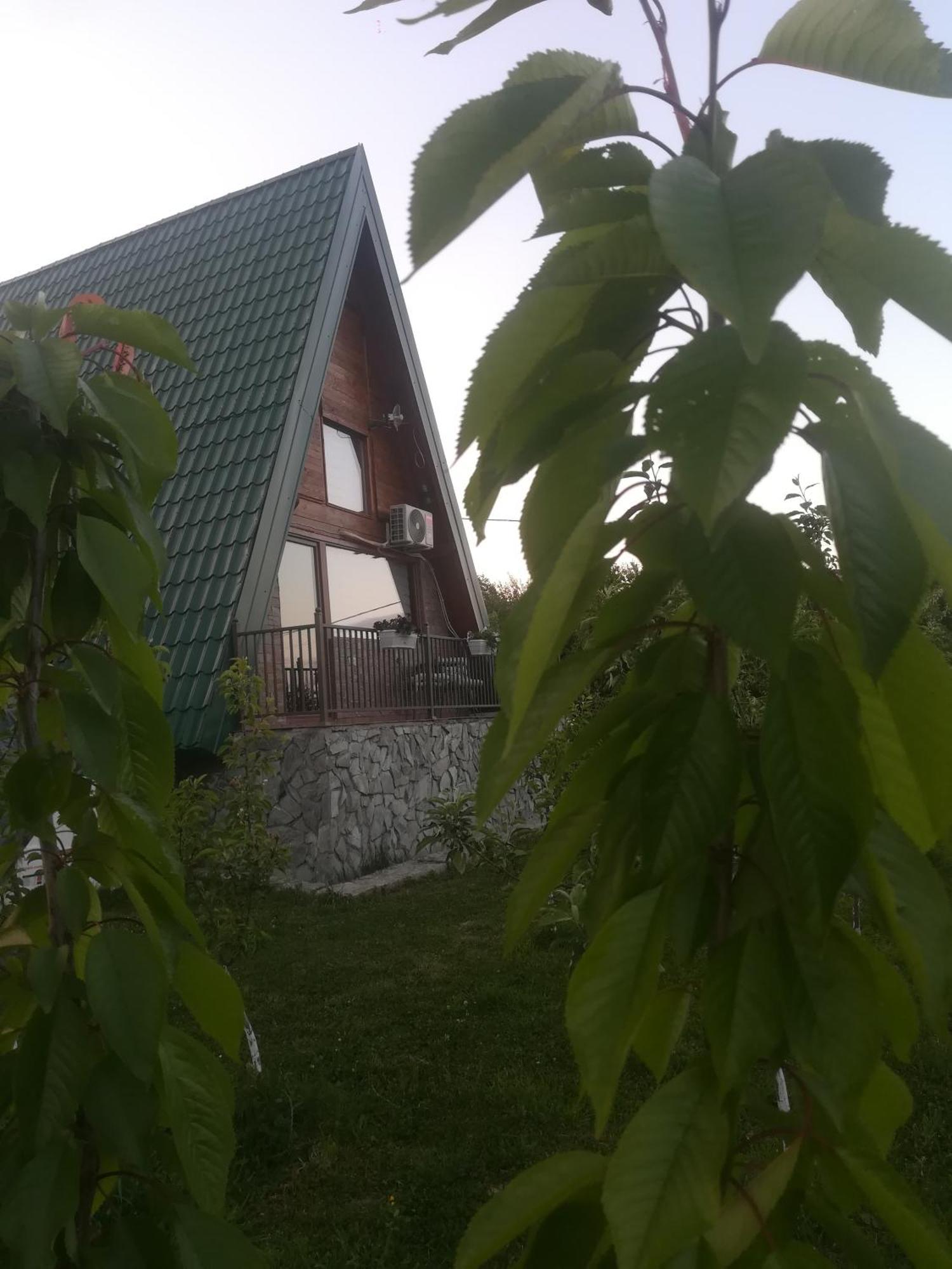 Banjska Brvnara Villa Vrnjačka Banja Kültér fotó