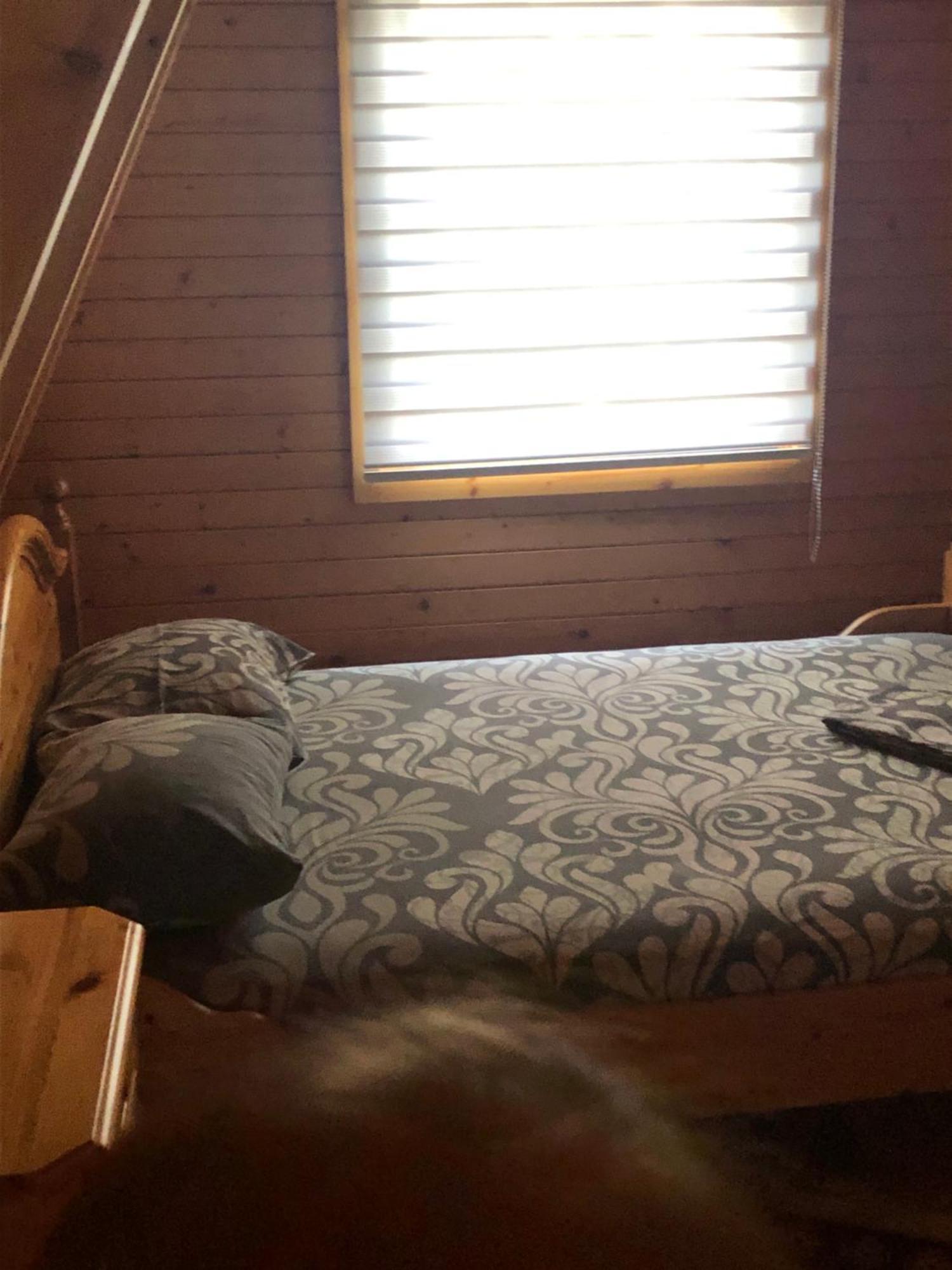 Banjska Brvnara Villa Vrnjačka Banja Kültér fotó