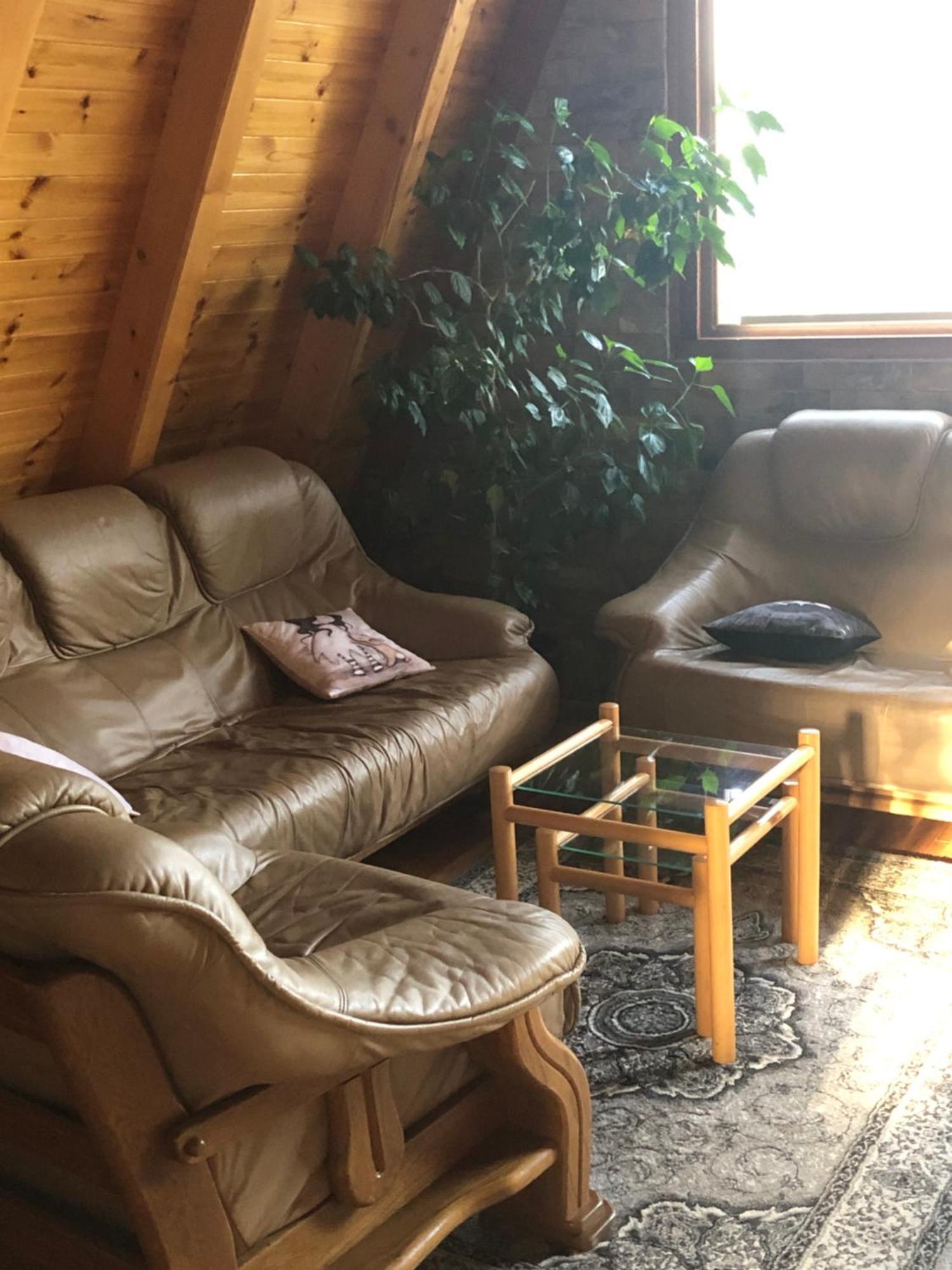 Banjska Brvnara Villa Vrnjačka Banja Kültér fotó